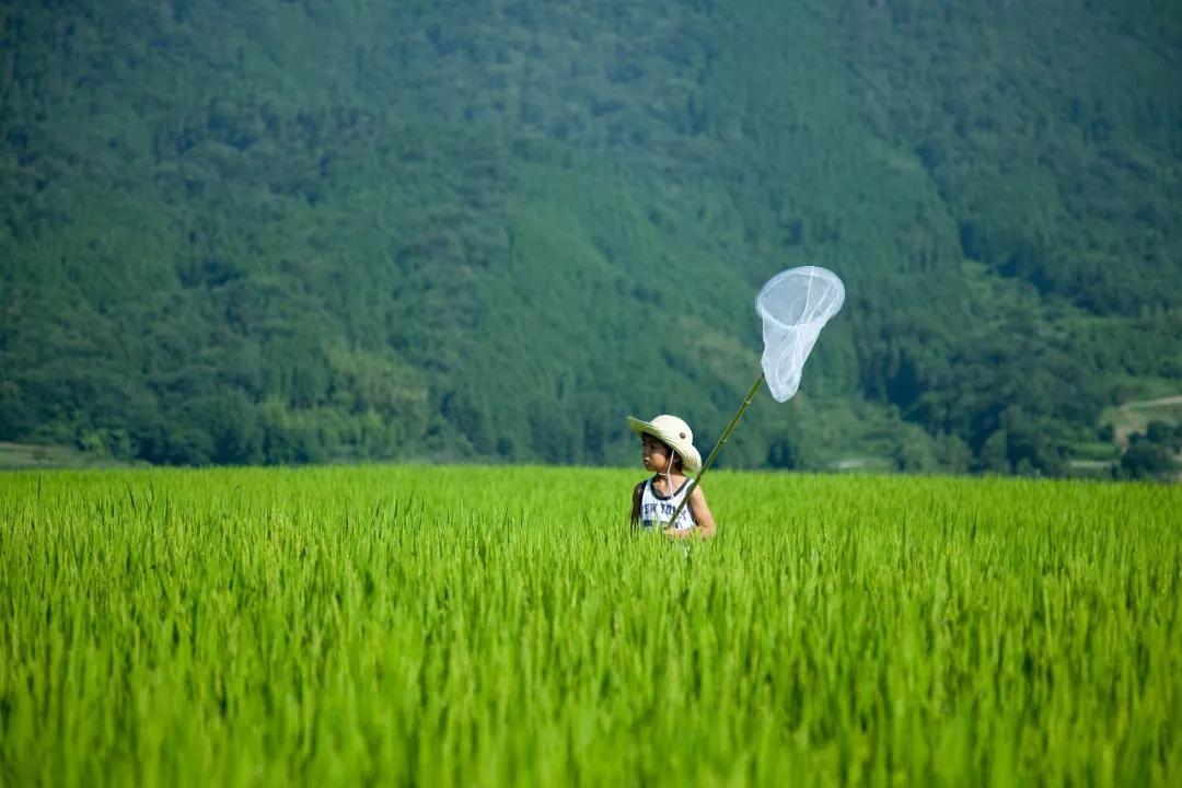 色麦村最新天气预报信息汇总