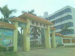 麻章区小学最新动态报道