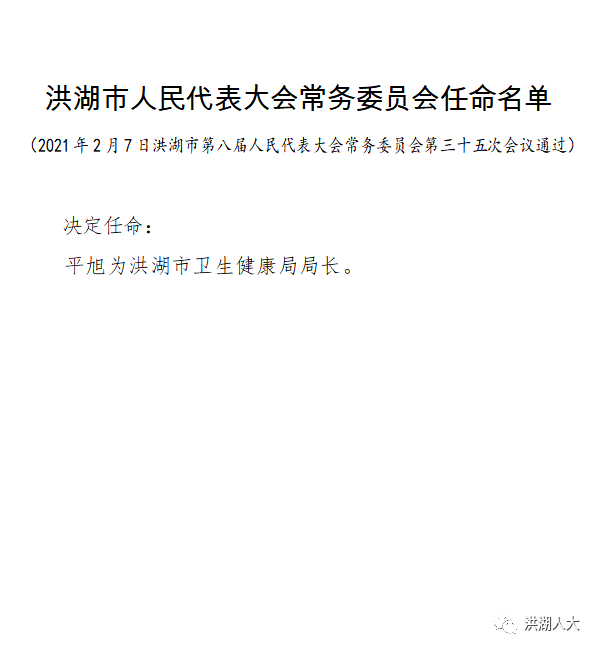 洪湖市教育局人事任命重塑教育未来格局，引领未来之光亮相新篇章