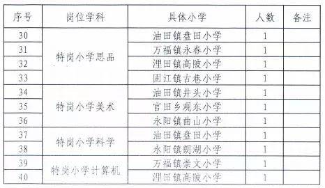 掇刀区小学最新招聘概览发布