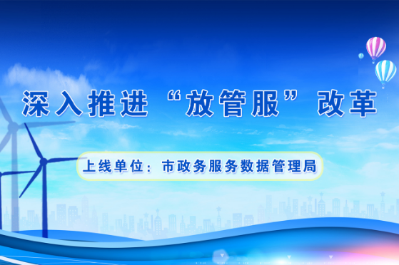 桃山区数据和政务服务局领导团队全新亮相，未来工作展望与期待