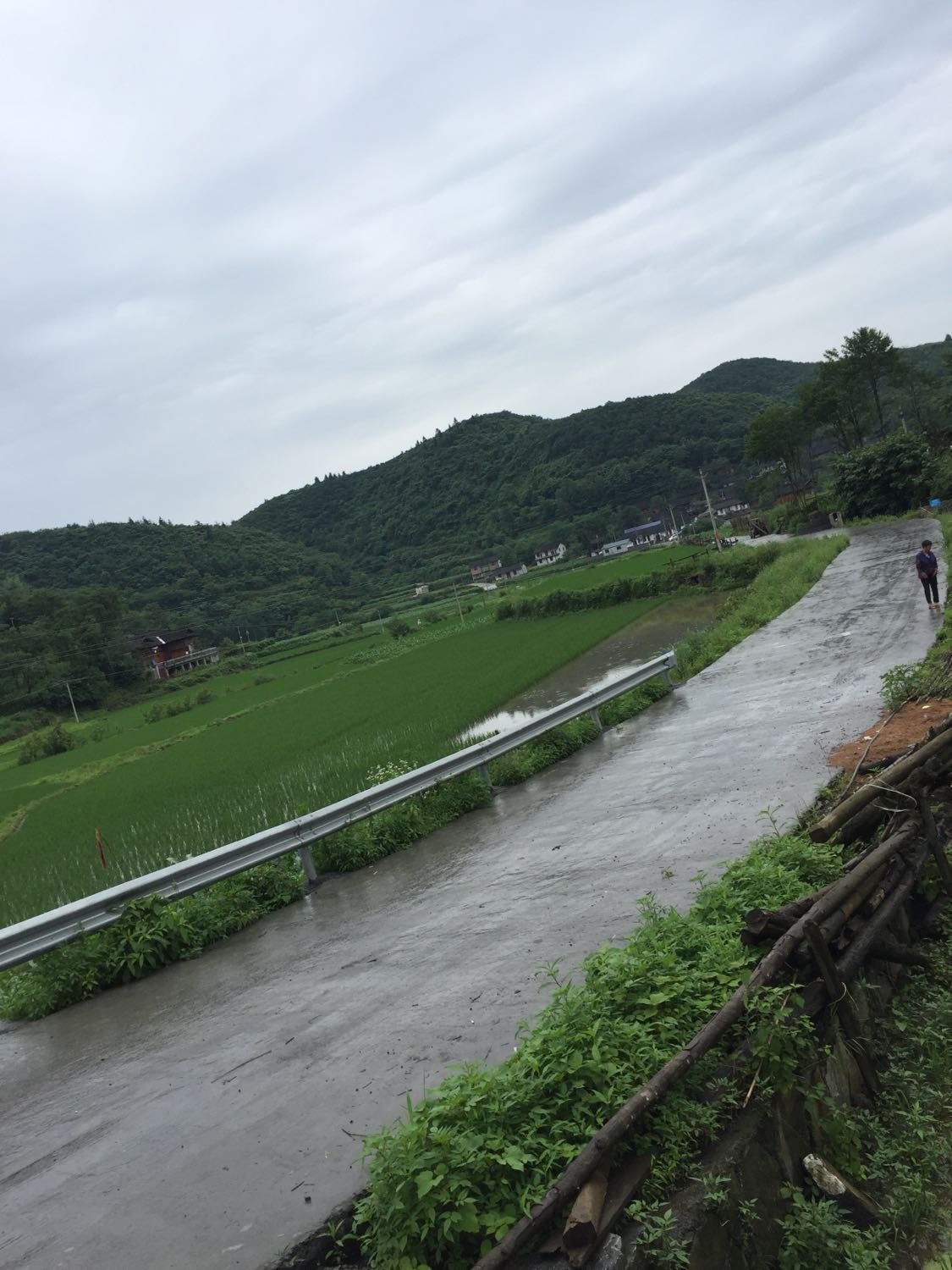 二河村天气预报更新通知