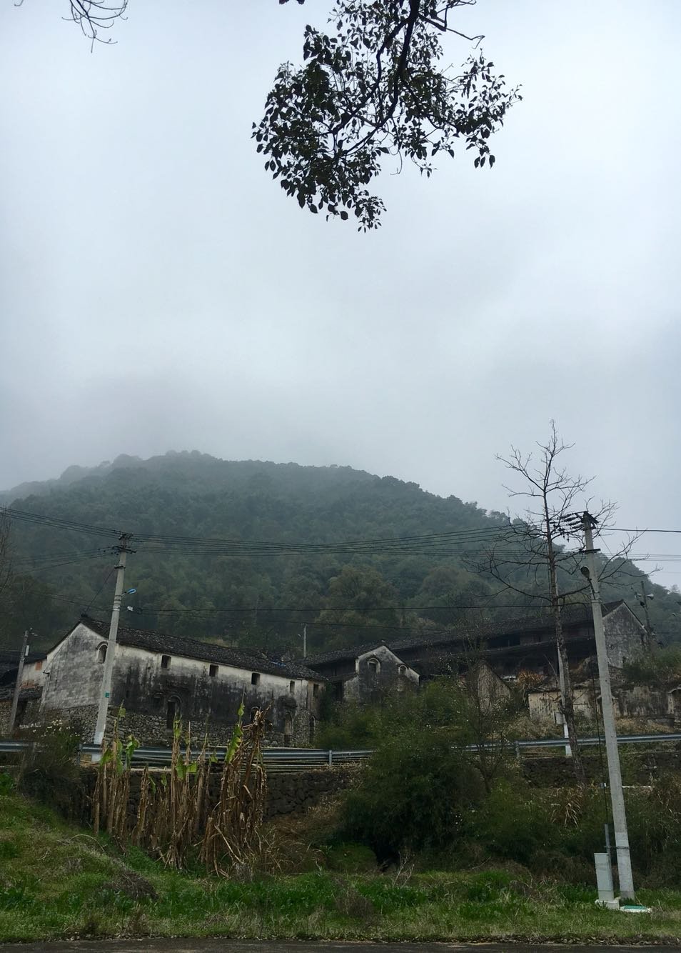 房道镇天气预报更新通知