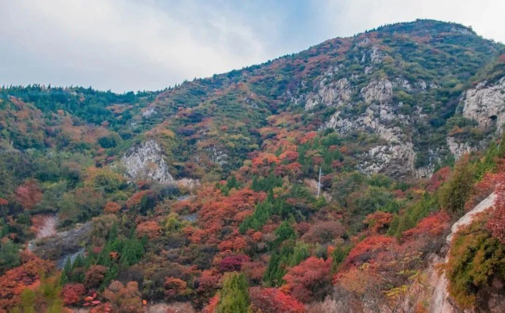 山西省忻州市定襄县季庄乡最新领导团队概述