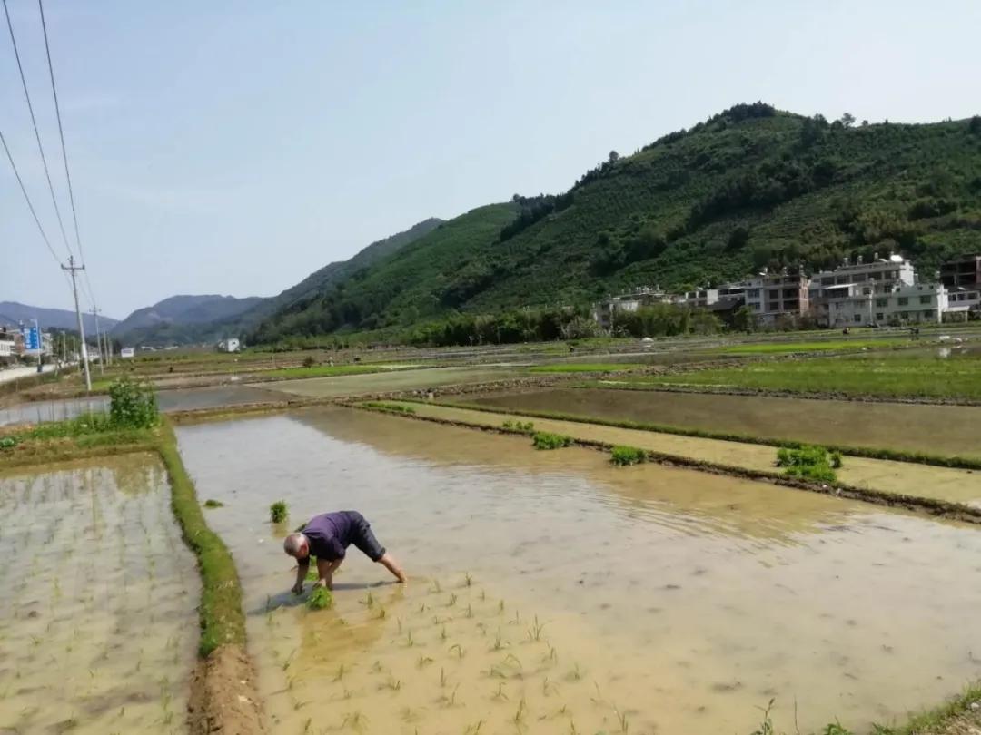 芦溪县市场监督管理局最新新闻