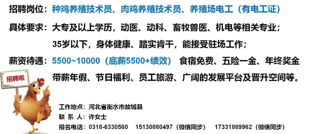 明水种畜场最新招聘信息与职业机会深度解析