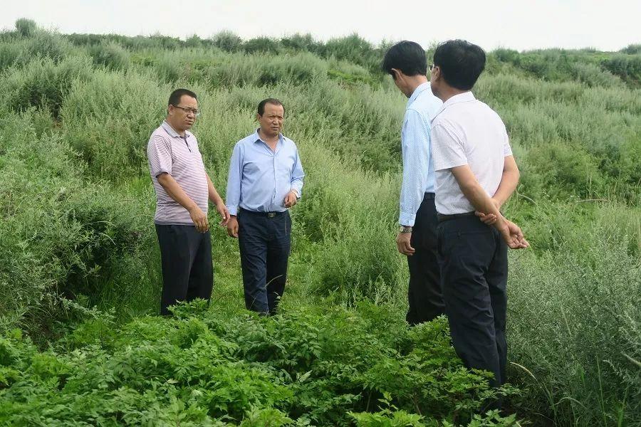 关巴村委会最新发展规划