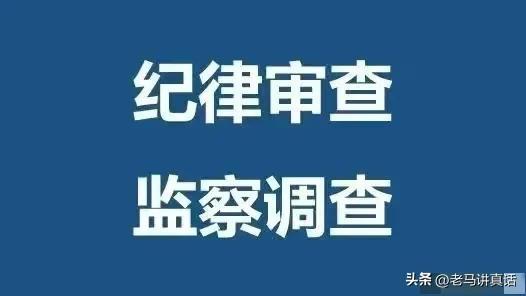 泰和县教育局领导团队，引领教育改革与发展的核心力量新篇章