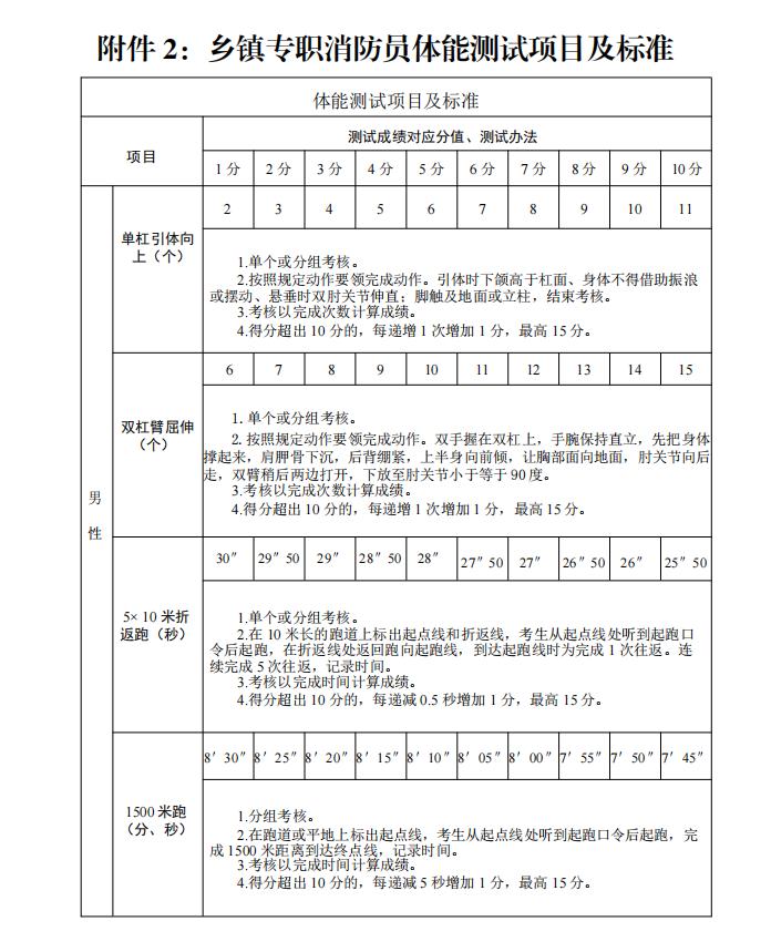 夜色中的猫 第2页