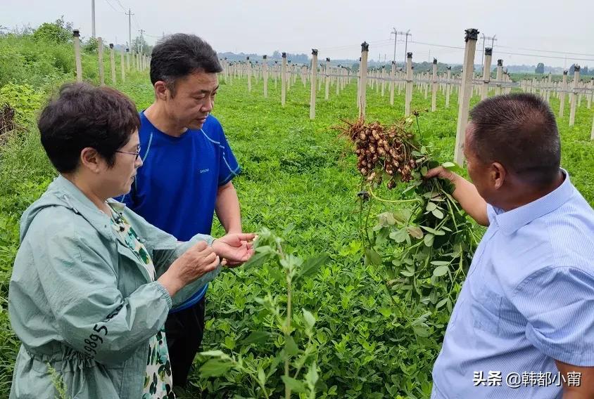 孟津县市场监督管理局领导介绍更新