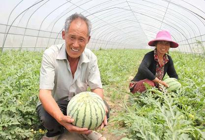 田能干村委会最新交通新闻