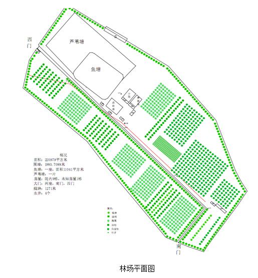 道干林场绿色生态建设规划，未来蓝图揭秘