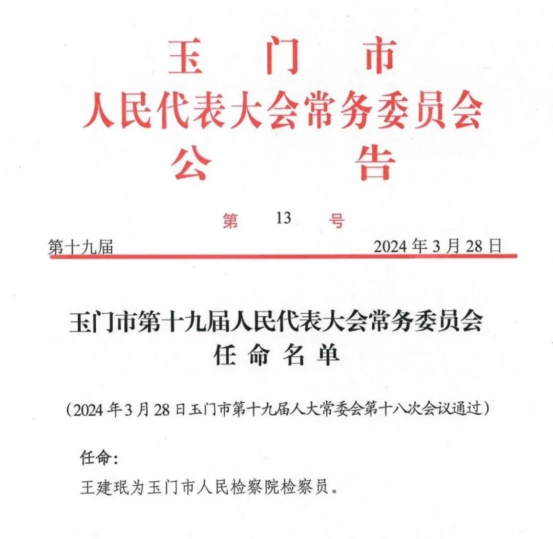 玉州区初中人事大调整，重塑教育领导团队，助力教育质量飞跃提升