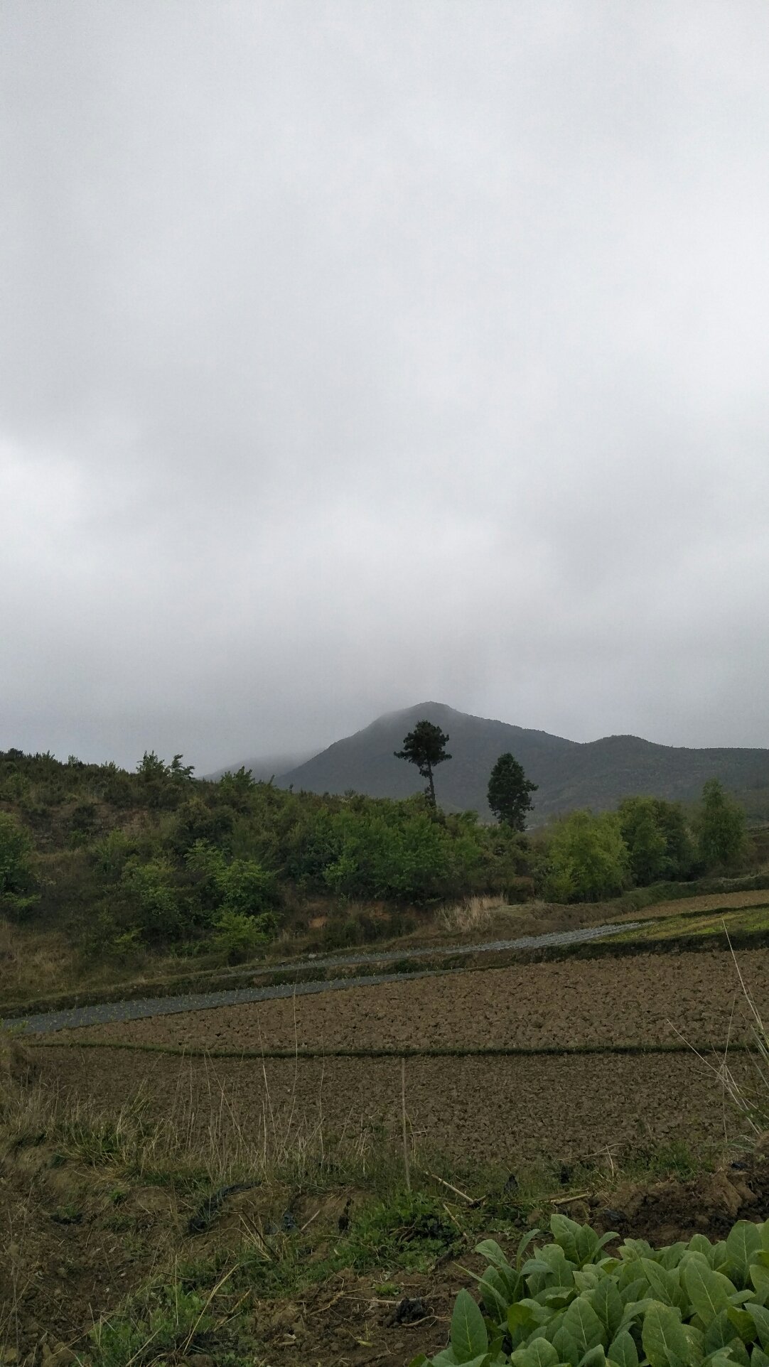 迎光乡天气预报更新通知