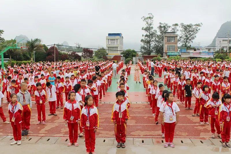 靖西县小学领导最新概览