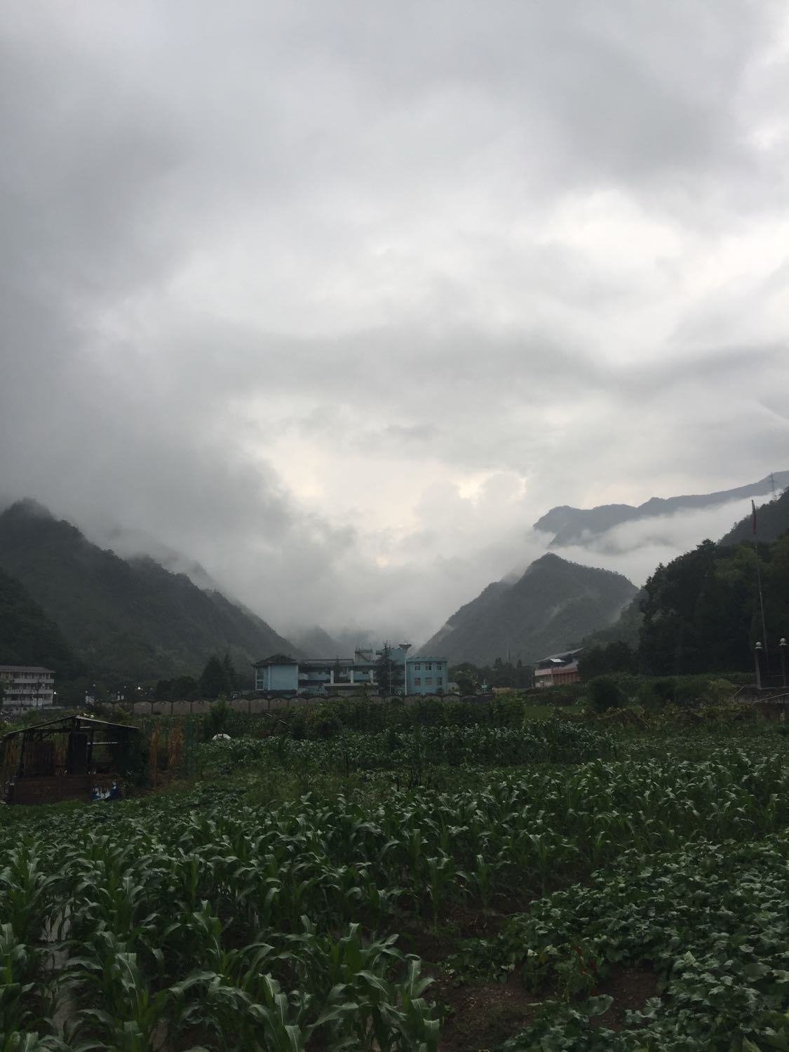 永和乡天气预报更新通知