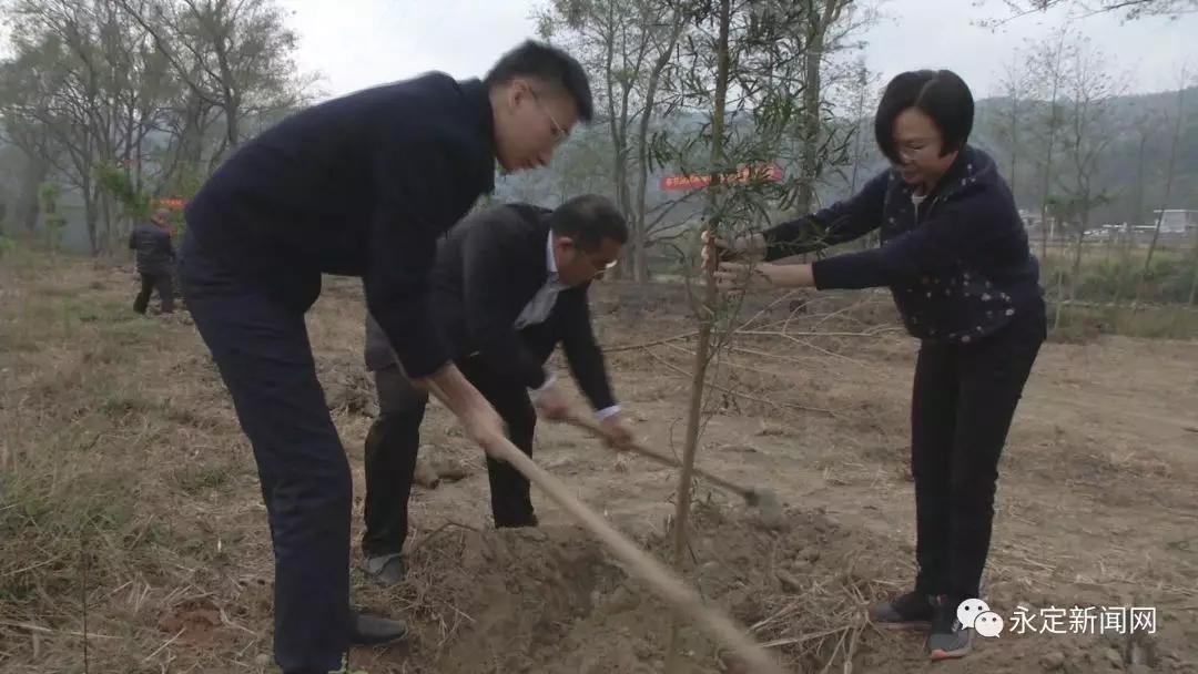 永定县计划生育委员会最新动态发布