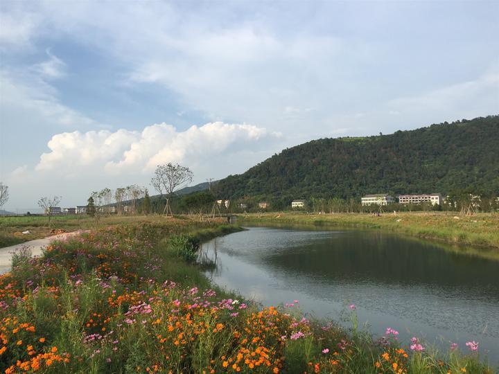 瑞安市水利局新项目推动水利建设助力城市腾飞发展