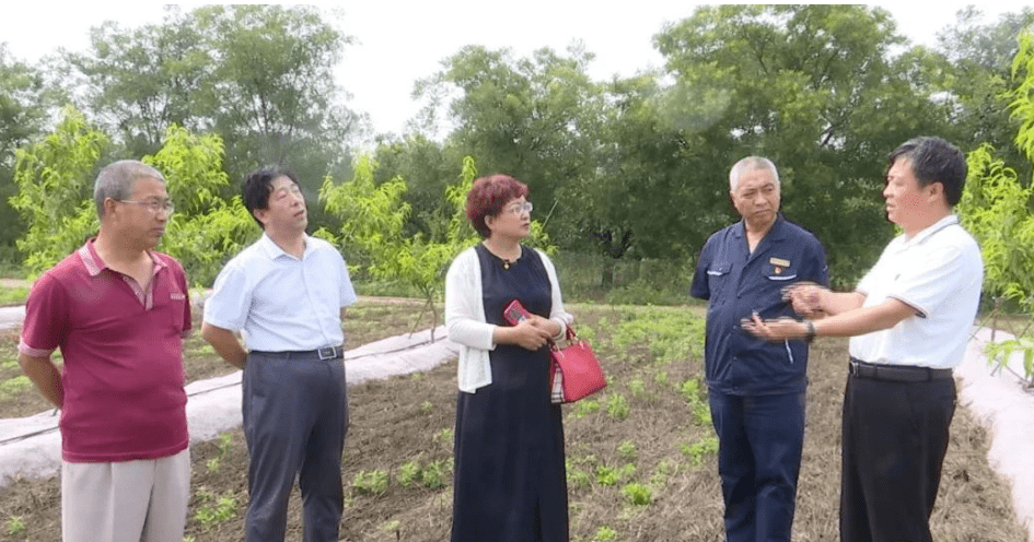 晋州市农业农村局领导团队全新亮相，未来工作展望与期待