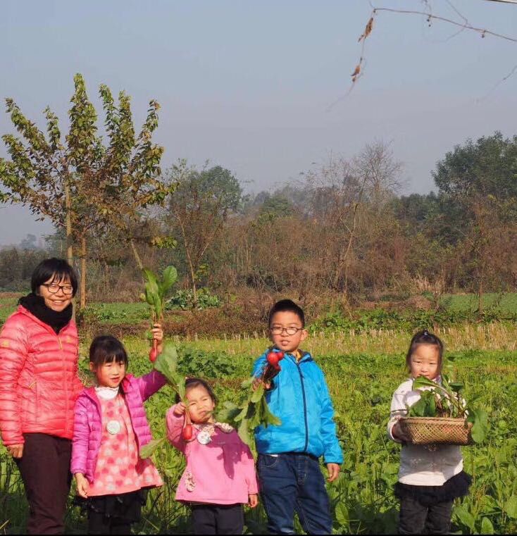 青龙满族自治县剧团新项目，传统与现代融合的艺术探索之旅