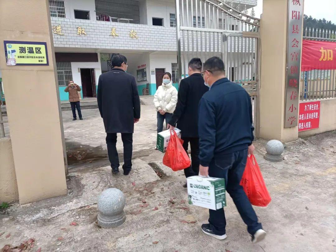 枞阳县小学最新动态报道