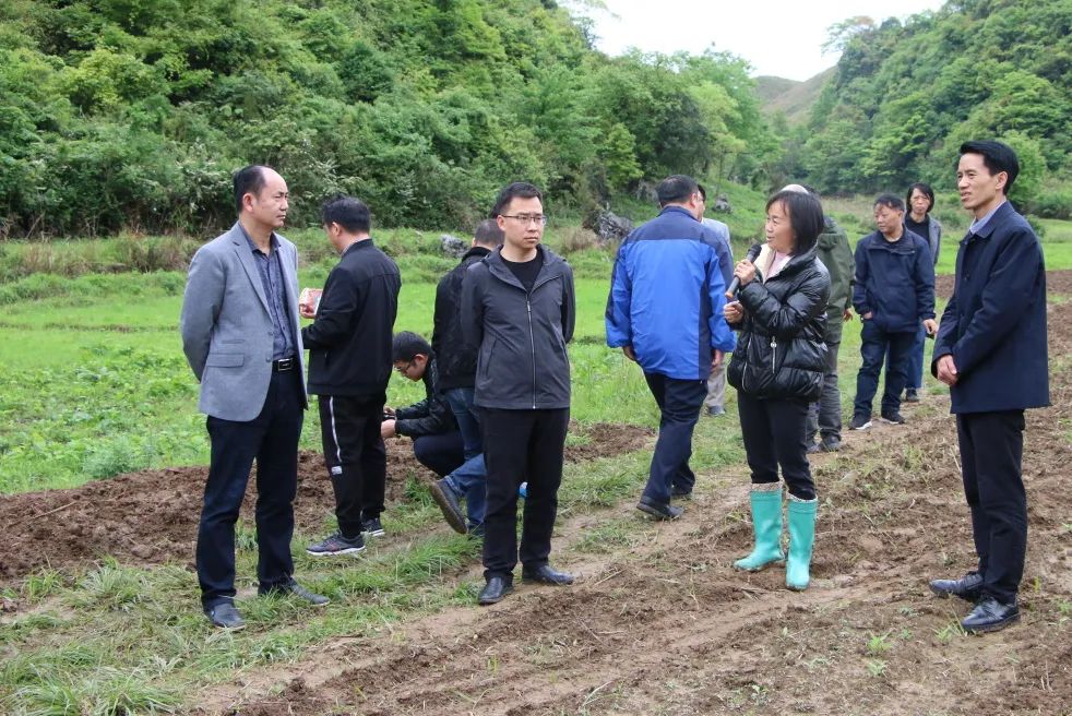 荔波县农业农村局最新动态报道